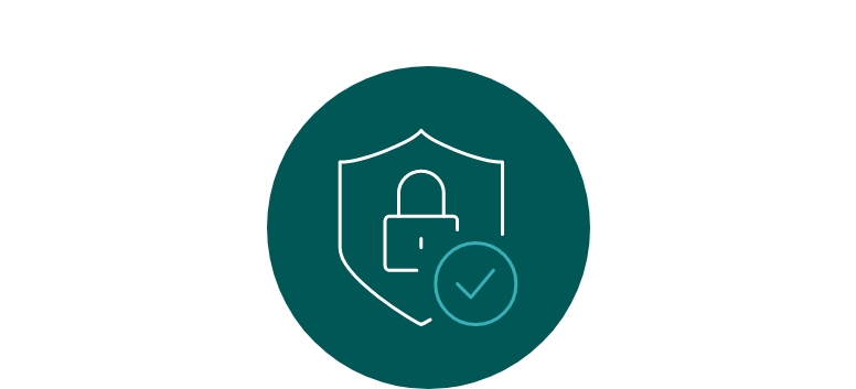 Secure Packaging Icon